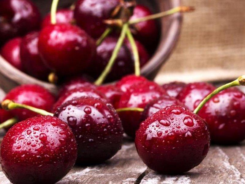 Вишня купить саженцы из питомника в Борисоглебске